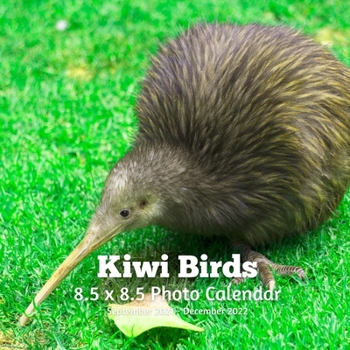 Paperback Kiwi Birds 8.5 X 8.5 Calendar September 2021 -December 2022: Monthly Calendar with U.S./UK/ Canadian/Christian/Jewish/Muslim Holidays-Bird Animal Natu Book