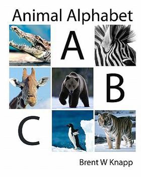 Paperback Animal Alphabet: From Alligator to Zebra Book