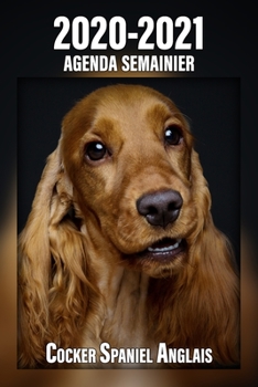 2020-2021 Agenda Semainier Cocker Spaniel Anglais: A5, 221 Pages | 24 Mois | Planificateur & Organiseur | Calendrier | Une double page par semaine | Journal | Agenda | En Francais (French Edition)