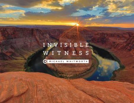 Paperback Invisible Witness Book