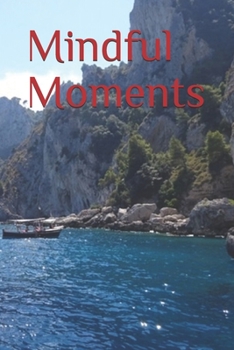Paperback Mindful Moments Book