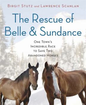 Hardcover The Rescue of Belle and Sundance: One Town's Incredible Race to Save Two Abandoned Horses Book