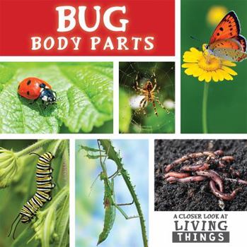 Paperback Bug Body Parts Book