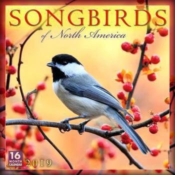 Calendar 2019 Songbirds of North America 16-Month Wall Calendar: By Sellers Publishing Book