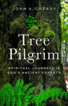 Hardcover Tree Pilgrim: Spiritual Journeys in God's Ancient Forests Book