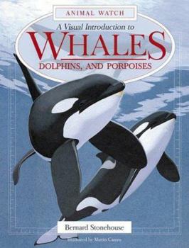 Hardcover A Visual Introduction to Whales, Dolphins, and Porpoises Book