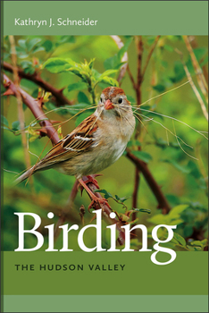 Paperback Birding the Hudson Valley Book