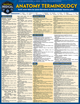 Misc. Anatomy Terminology Reference Guide: A Quickstudy Laminated Reference Guide Book