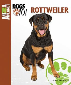 Rottweiler - Book  of the Animal Planet Dogs 101