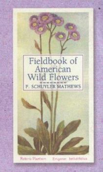 Paperback Fieldbook of American Wild Flowers Book