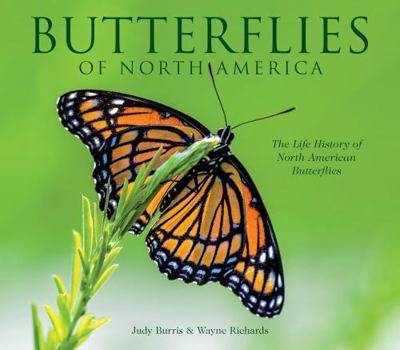 Hardcover Butterflies of North America Book