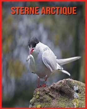 Paperback Sterne Arctique: Informations Amusantes et Photos Etonnantes d'Animaux dans la Nature [French] Book