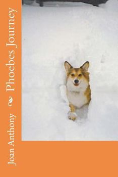 Paperback Phoebes Journey Book