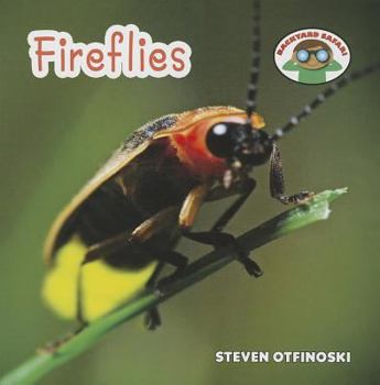 Fireflies - Book  of the Backyard Safari