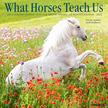 Calendar What Horses Teach Us 2023 Wall Calendar Book