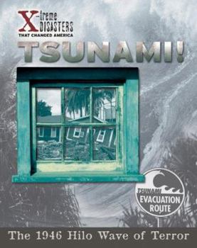 Library Binding Tsunami!: The 1946 Hilo Wave of Terror Book