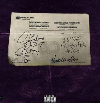 Vinyl Shorelinedothatshit Book