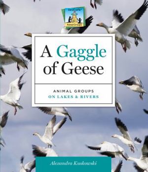 A Gaggle of Geese: Animal Groups on Lakes & Rivers - Book  of the Animal groups