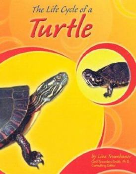 Hardcover The Life Cycle of a Turtle Book