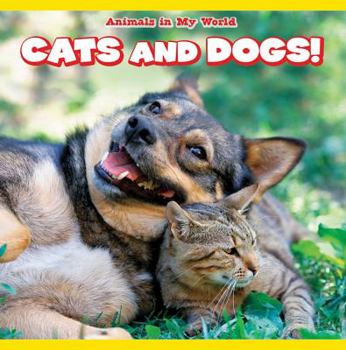 Paperback Cats and Dogs! Book