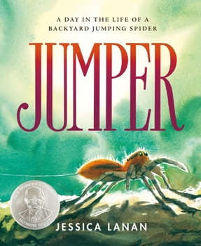 Hardcover Jumper: A Day in the Life of a Backyard Jumping Spider Book