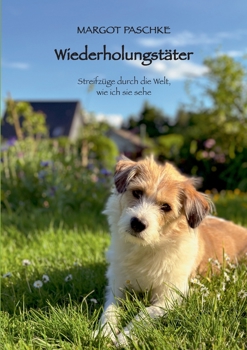 Paperback Wiederholungstäter [German] Book