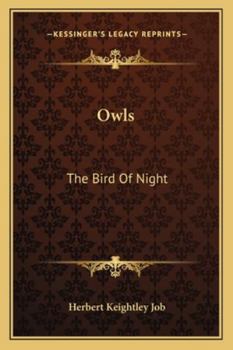 Paperback Owls: The Bird Of Night Book