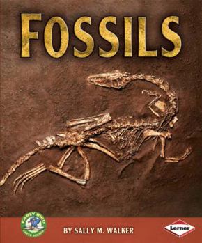 Paperback Fossils (Early Bird Earth Science) Book