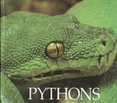 Library Binding Pythons Book