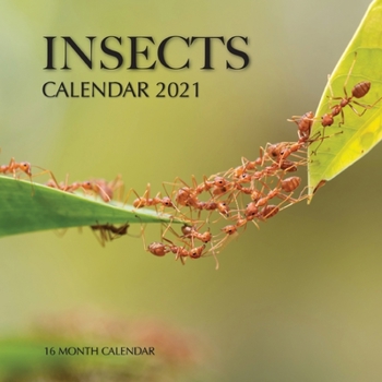 Paperback Insects Calendar 2021: 16 Month Calendar Book
