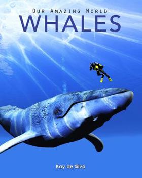 Paperback Whales: Amazing Pictures & Fun Facts on Animals in Nature Book