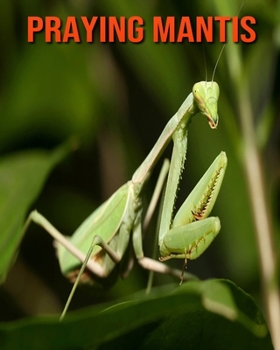 Paperback Praying Mantis: Amazing Facts about Praying Mantis Book
