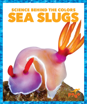 Paperback Sea Slugs Book