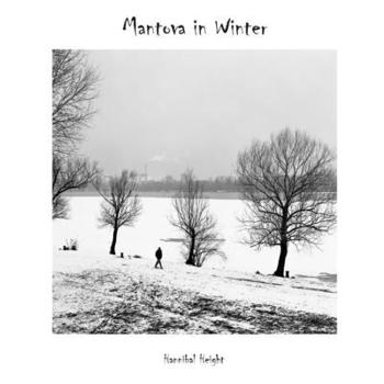 Paperback Mantova in winter Book