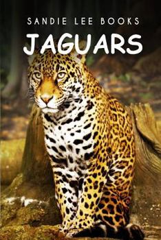 Paperback Jaguars - Sandie Lee Books Book