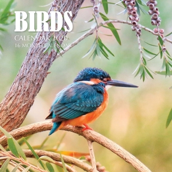 Paperback Birds Calendar 2020: 16 Month Calendar Book