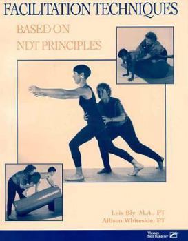 Hardcover Facilitation Techniques Based on Ndt Principles Book