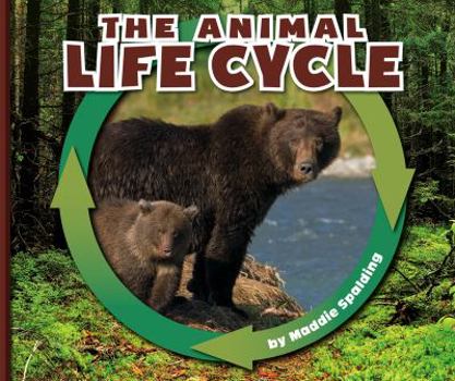 Library Binding The Animal Life Cycle Book