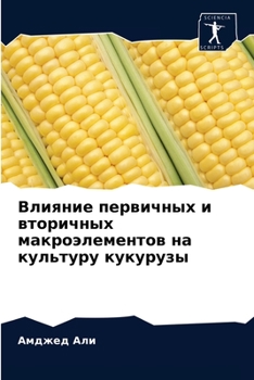 Влияние первичных и вторичных макроэлементов на культуру кукурузы