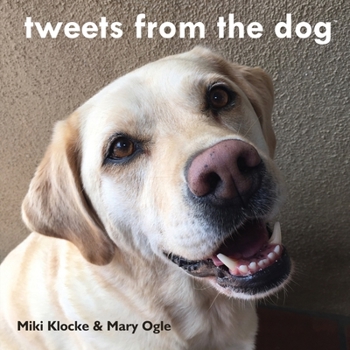 Paperback tweets from the dog Book