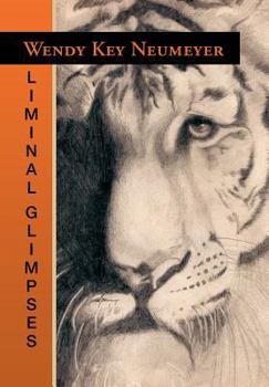 Hardcover Liminal Glimpses Book