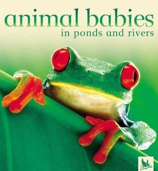 Hardcover Animal Babies in Ponds and Rivers Book