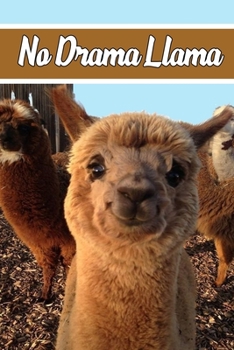 Paperback No Drama Llama Book