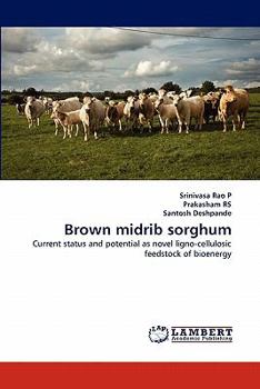 Paperback Brown Midrib Sorghum Book