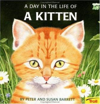 Paperback Day in the Life of a Kitten - Pbk Book