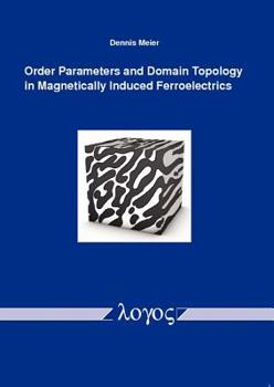 Paperback Order Parameters and Domain Topology in Magnetically Induced Ferroelectrics Book