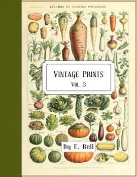 Paperback Vintage Prints: Vol. 3 Book