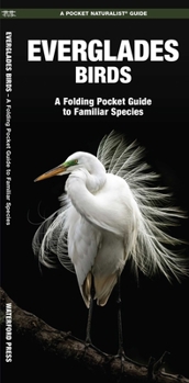 Misc. Everglades Birds Book