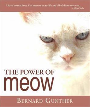 Paperback The Power of Meow: From Rumi to Me Book