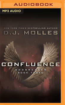 Confluence - Book #3 of the Godbreaker